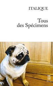 Picture of Tous des spécimens