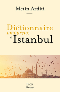 Image de Dictionnaire amoureux d'Istanbul