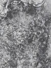 Picture of Roni Horn A Dream not Dreamt /anglais