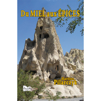 Picture of DU MIEL AUX ÉPICES