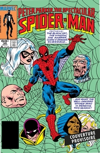 Image de Spectacular Spider-Man : L'intégrale 1984 (Nouvelle édition)