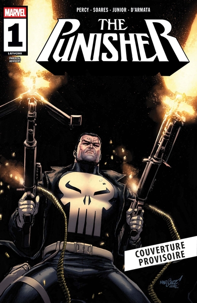 Image de Punisher T01