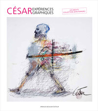 Image de Cesar, Experiences Graphiques
