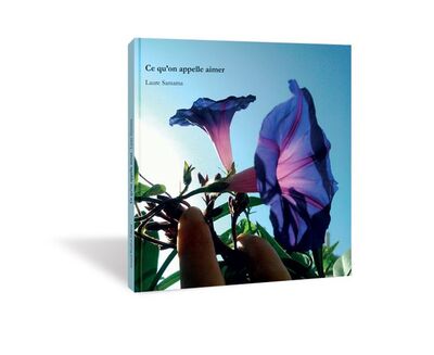 Image de Ce Qu'On Appelle Aimer