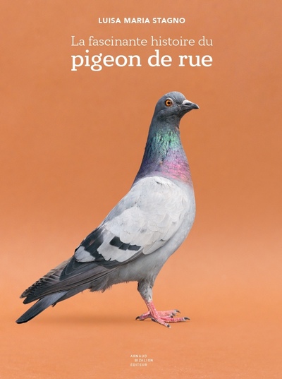 Image de La fascinante histoire du pigeon de rue