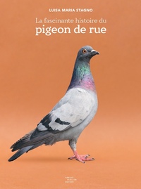 Image de La fascinante histoire du pigeon de rue