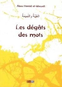 Image de Les dégats des mots