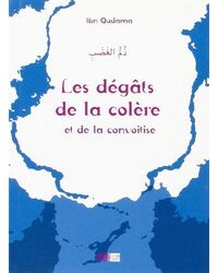 Image de Les degats de la colère et de la convoitise