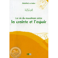 Picture of LA CRAINTE ET LESPOIR  DANS