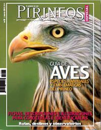 Image de ESPECIAL PIRINEOS 11 - GUIA DE AVES