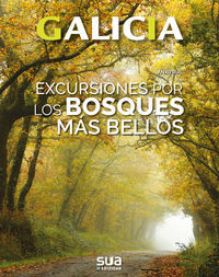 Image de GALICIA - EXCURSIONES POR LOS BOSQUES MAS BELLOS