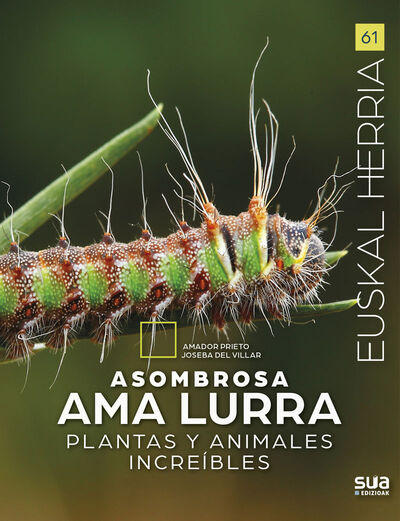 Image de ASOMBROSA AMA LURRA