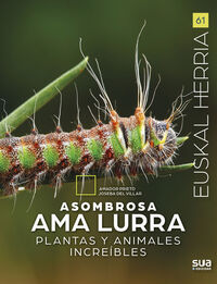 Picture of ASOMBROSA AMA LURRA