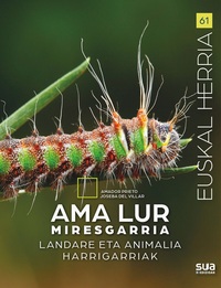 Picture of AMA LUR MIRESGARRIA