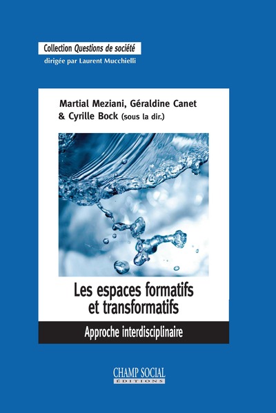 Picture of Les espaces formatifs et transformatifs. Approche interdisciplinaire
