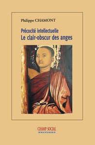 Image de Précocité intellectuelle. Le clair-obscur des anges