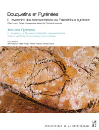 Picture of Bouquetins et Pyrénées