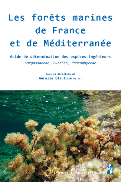 Picture of Les forêts marines de France et de Méditerranée