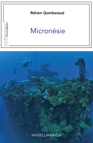 Picture of Micronésie