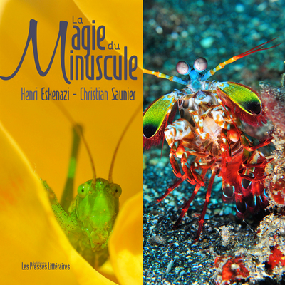 Picture of LA MAGIE DU MINUSCULE