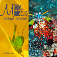 Picture of LA MAGIE DU MINUSCULE