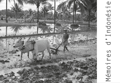 Picture of MEMOIRES D'INDONESIE