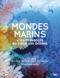 Image de Mondes marins - Voyage insolite au coeur des océans -Nouvelle édition-