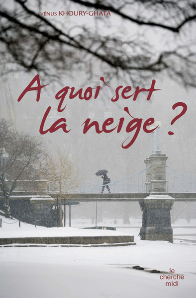 Image de A quoi sert la neige ?