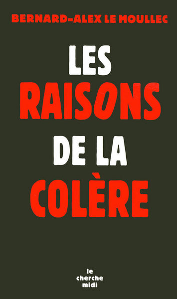 Picture of Les raisons de la colère pour une politique globale de la jeunesse