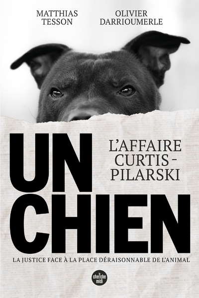Image de Un chien - L'affaire Curtis-Pilarski