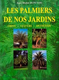 Image de Les palmiers de nos jardins