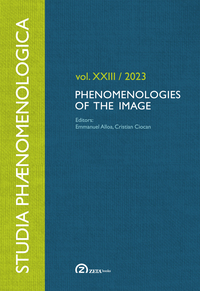 Picture of Phenomenologies of the Image