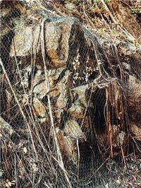 Picture of Pascal Greco Kwai Shing West Estate /franCais