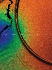 Picture of Cooper Jacoby How Do I Survive ? /anglais