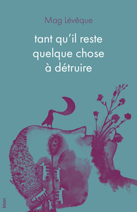 Picture of tant qu'il reste quelque chose à détruire
