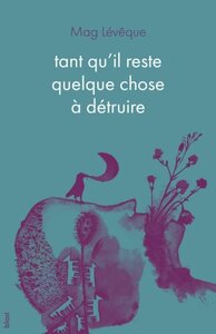 Picture of Tant qu'il reste quelque chose à détruire