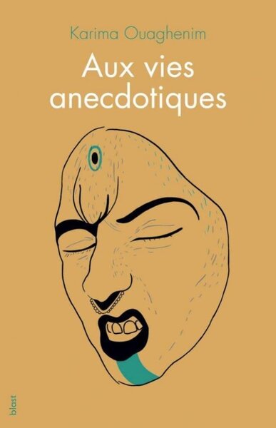 Picture of Aux vies anecdotiques