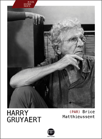 Image de Harry Gruyaert par Brice Matthieussent