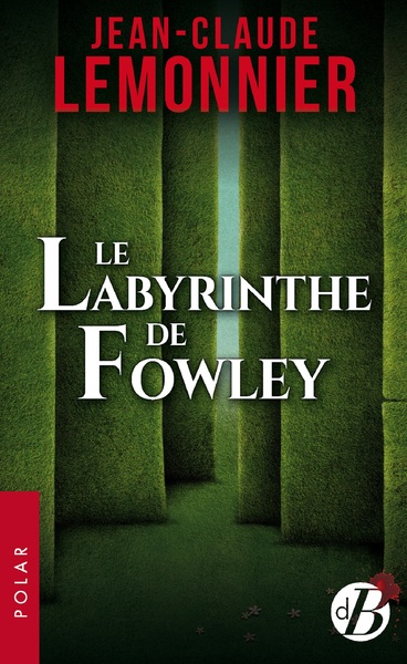 Image de Le Labyrinthe de Fowley