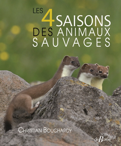 Picture of Les 4 saisons des animaux sauvages