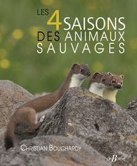 Picture of Les 4 saisons des animaux sauvages