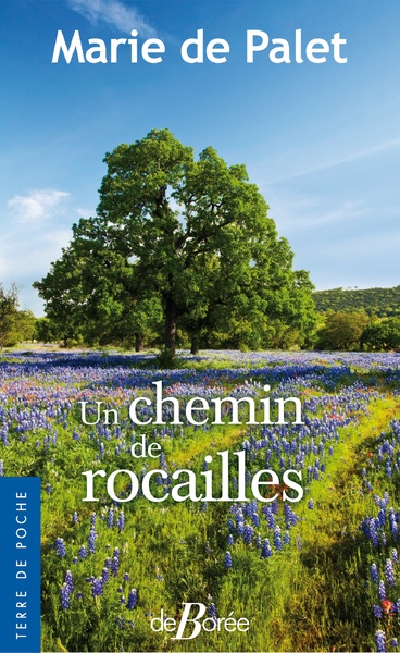 Picture of Un chemin de rocailles