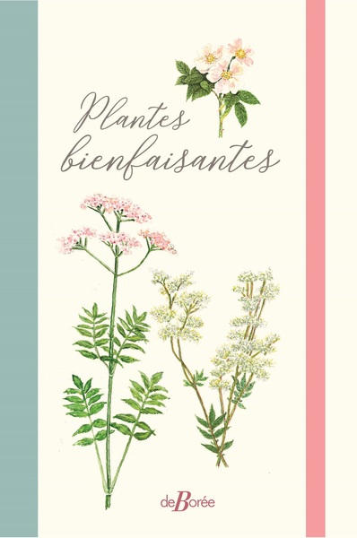 Image de Plantes bienfaisantes