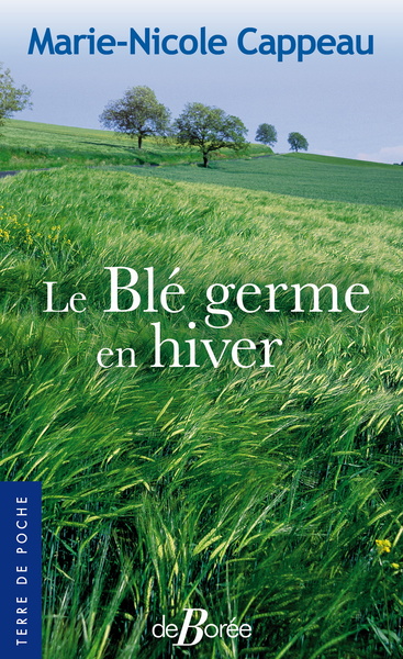 Image de Le Blé germe en hiver