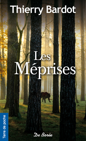 Picture of LES MÉPRISES