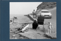 Image de Skinningrove