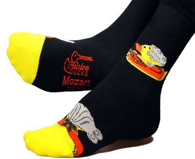 Picture of ENTENSOCKEN MOZART 43-45 (EU) / 9-11 (UK)