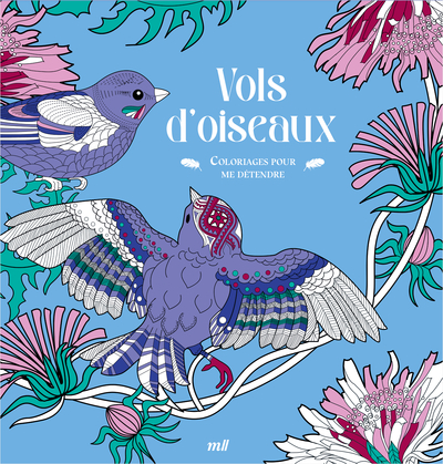 Image de Vols d'oiseaux