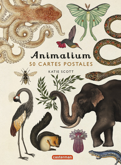 Image de Encyclopedium - Animalium