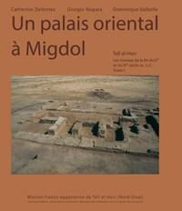 Image de Un palais oriental à migdol tell el-herr